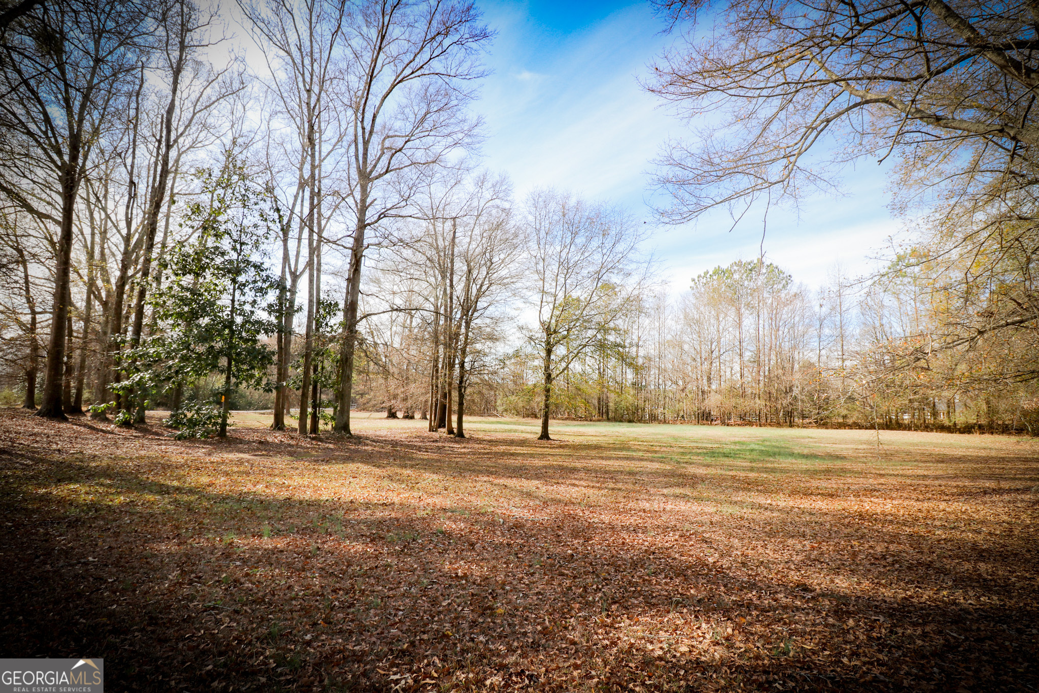 2447 Williamson Road Williamson, GA 30292 - Photo 53 of 95 a big yard with trees in the background