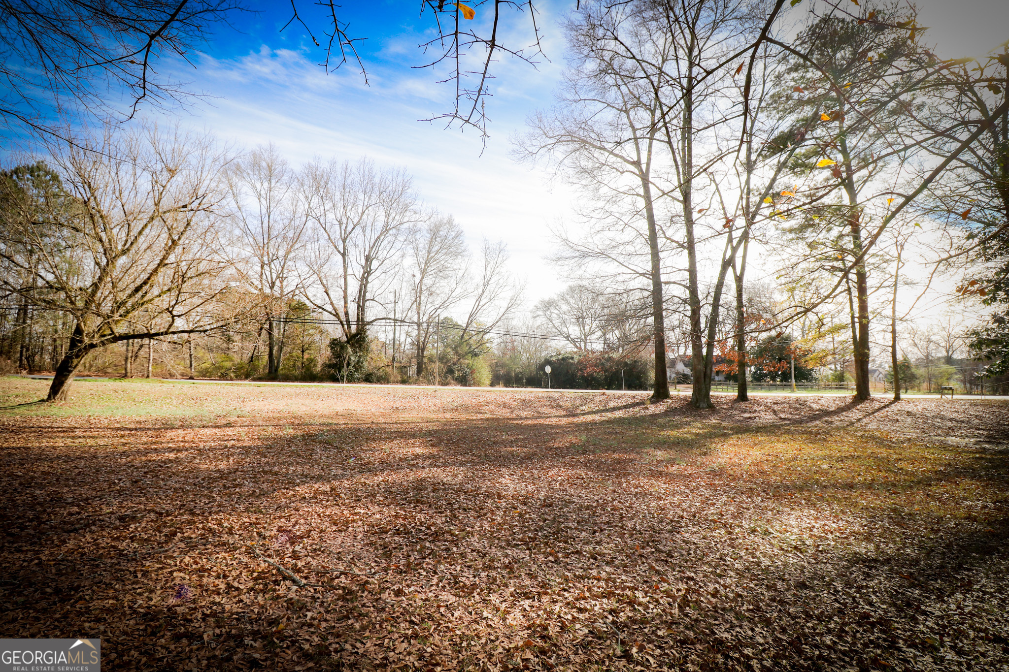 2447 Williamson Road Williamson, GA 30292 - Photo 58 of 95 a view of dirt yard with a large tree
