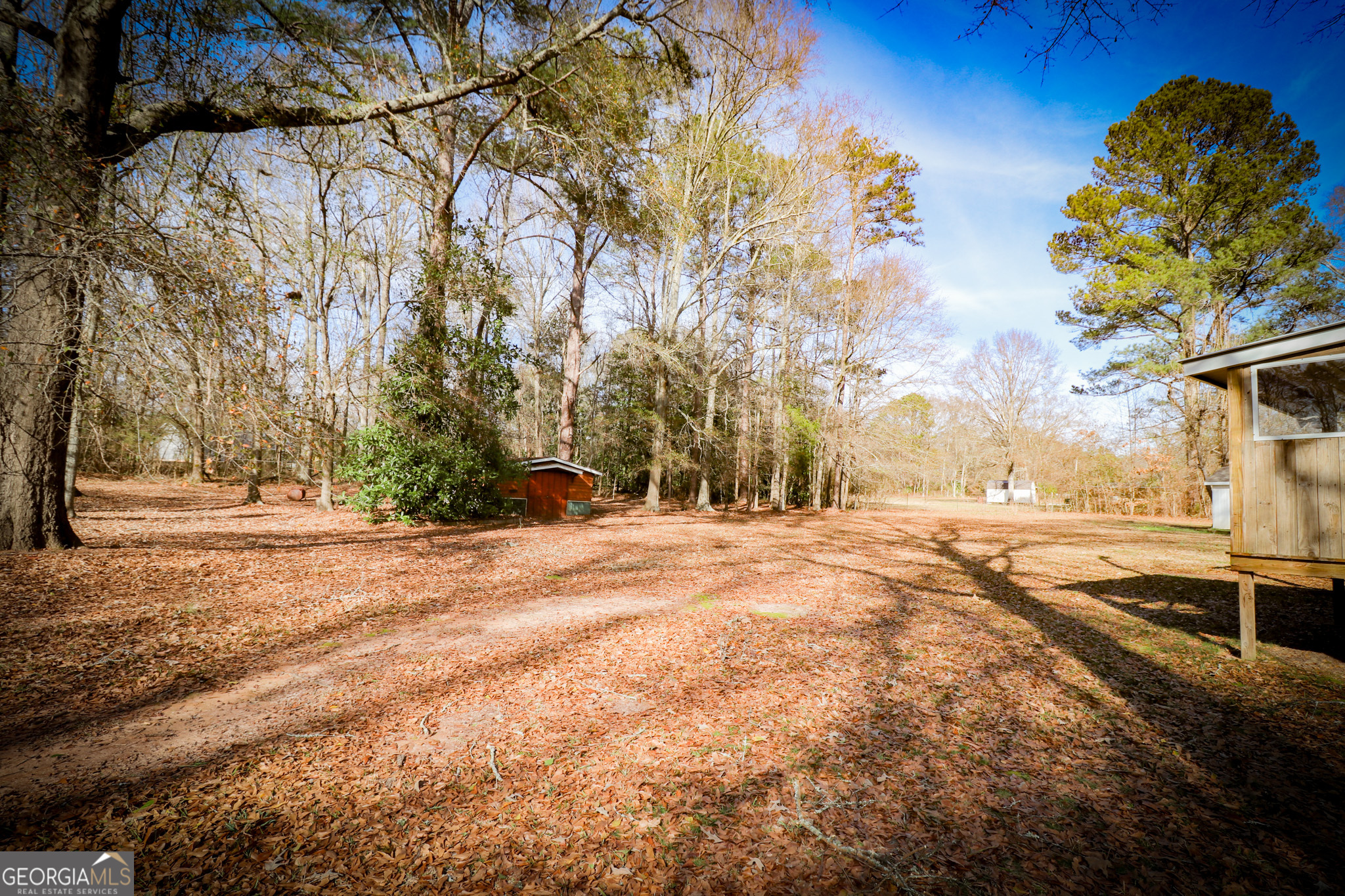 2447 Williamson Road Williamson, GA 30292 - Photo 59 of 95