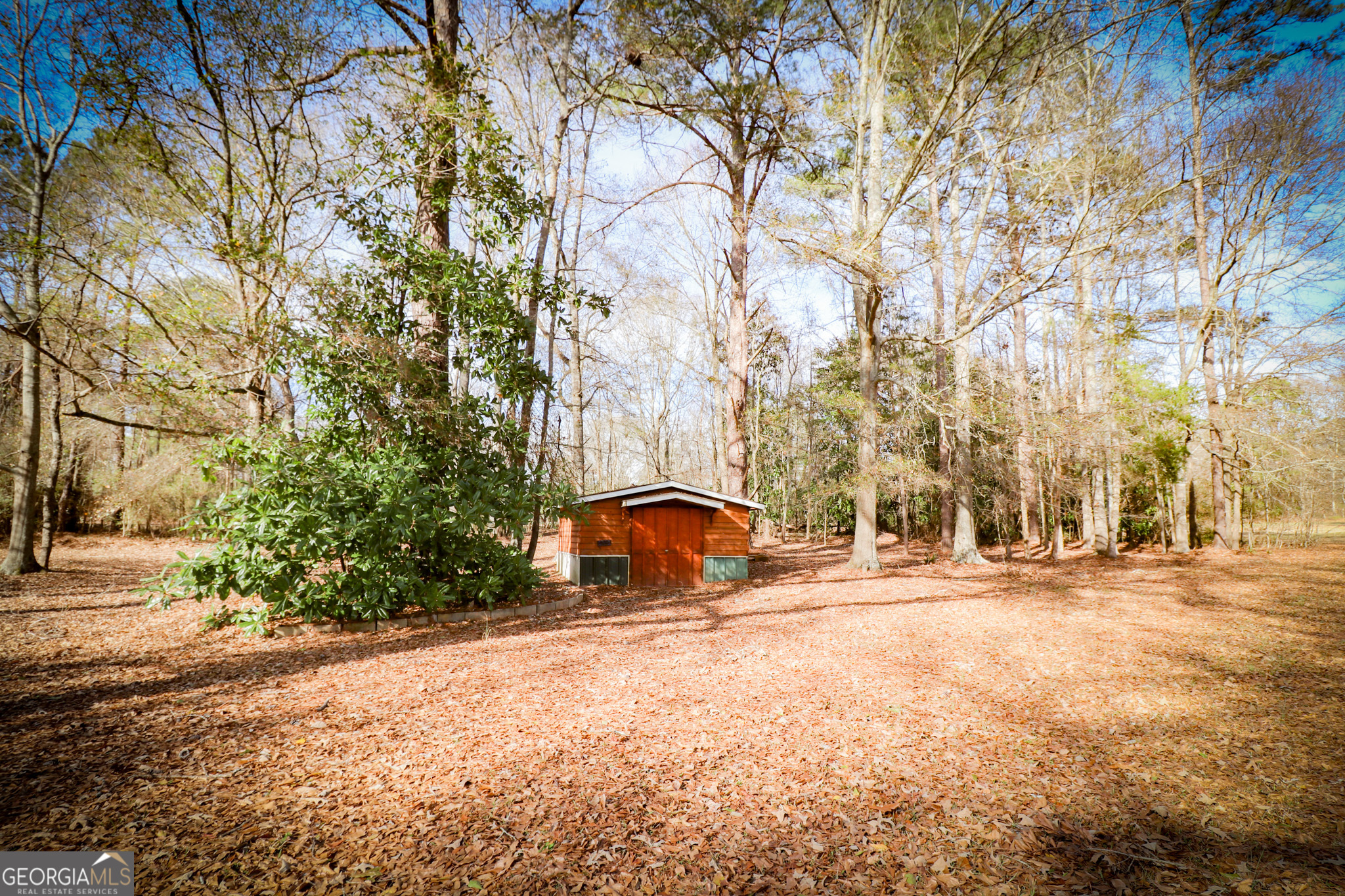 2447 Williamson Road Williamson, GA 30292 - Photo 64 of 95 a backyard of a house with large trees and plants