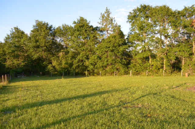 26890 Old Pensacola Road Robertsdale, AL 36567 - Photo 30 of 43