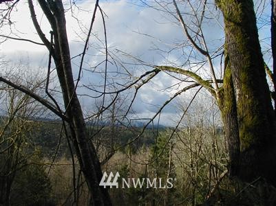 2-7xx Dabob Road Quilcene, WA 98376 - Photo 1 of 1