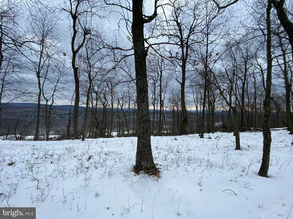 a street view covered with snow