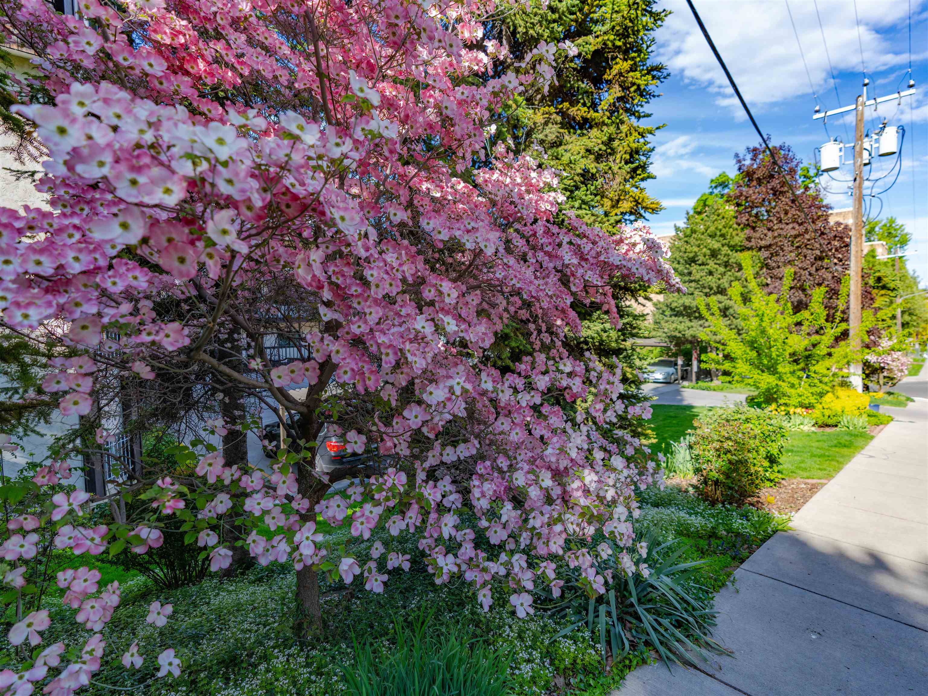 620 West 7th Avenue, Unit 207 Spokane, WA 99204 - Photo 4 of 48