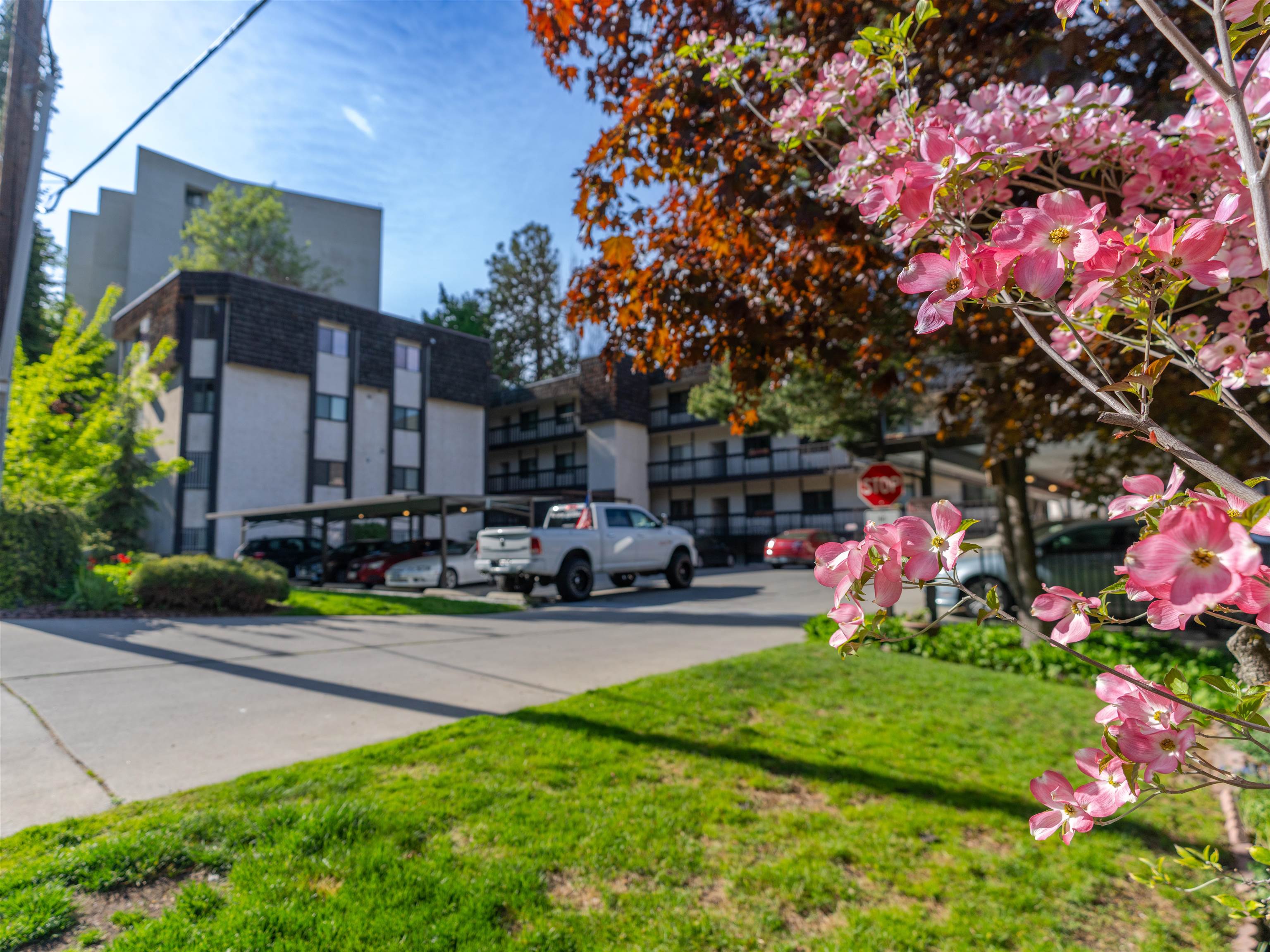620 West 7th Avenue, Unit 207 Spokane, WA 99204 - Photo 8 of 48