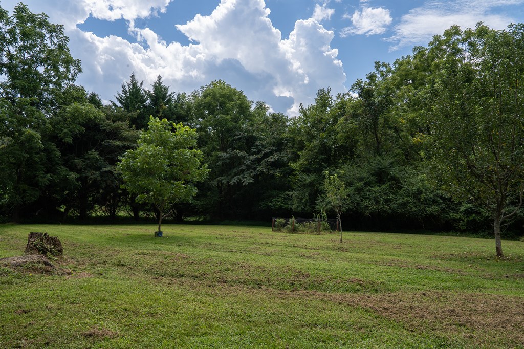 200 Lickskillet Road Epworth, GA 30541 - Photo 4 of 51 a view of room with green space