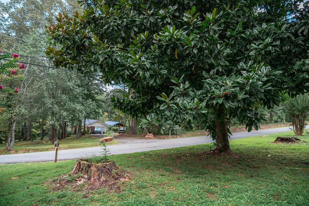 200 Lickskillet Road Epworth, GA 30541 - Photo 48 of 51 a park view with a tree