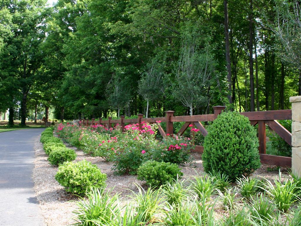 17405 Robbins Ridge Road, Unit 67 Cornelius, NC 28031 - Photo 19 of 24 Gallery Image 19