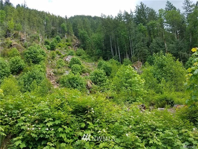 16327 Index-Galena Road Index, WA 98256 - Photo 1 of 1 Gallery Image 1