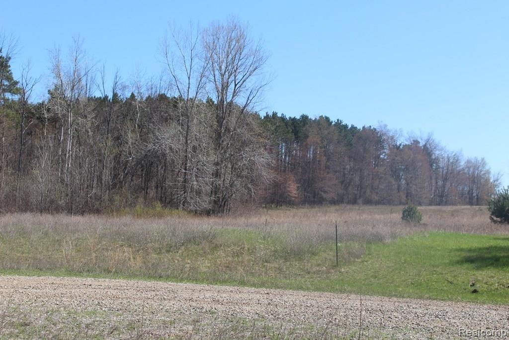 Parcel J Parcel J Folsom Lane Road Otter Lake, MI 48464 - Photo 1 of 1