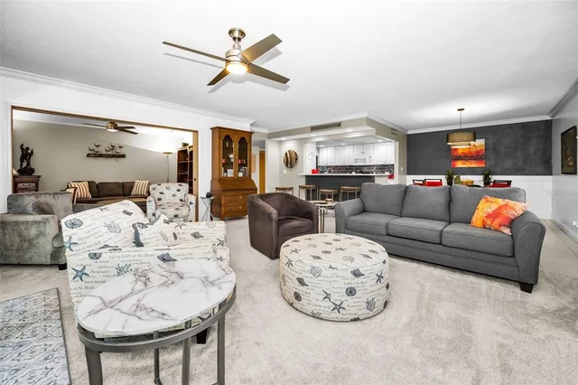 a view of a park with large trees