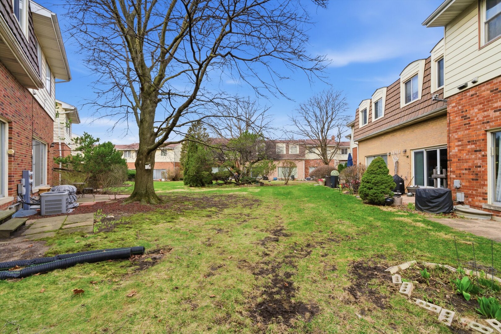 8820 Plainfield Road Brookfield, IL 60513 - Photo 35 of 49 a view of a yard with plants and large tree
