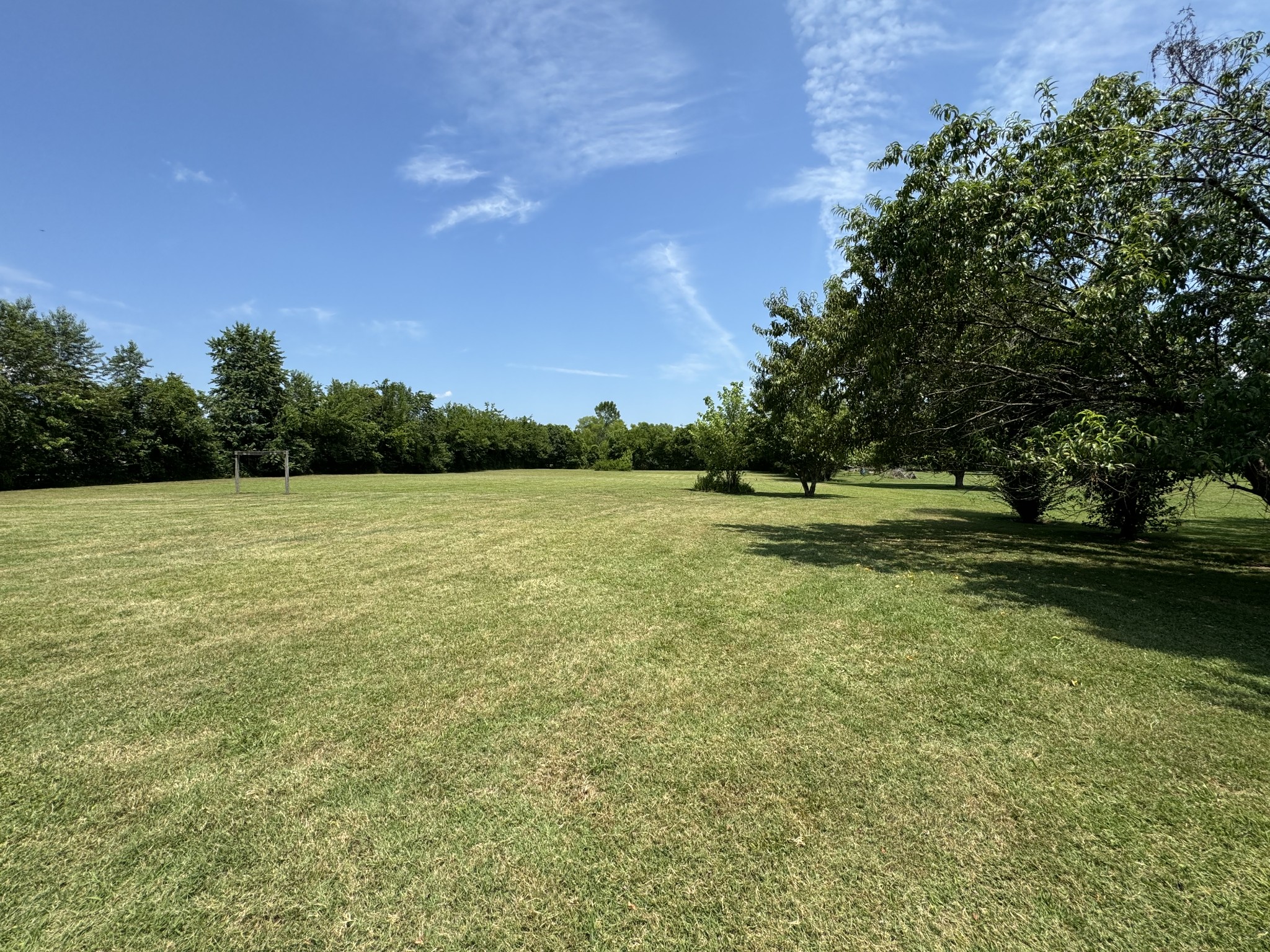 111 Hamilton Chambers Road Lebanon, TN 37087 - Photo 3 of 10 a view of a green field with wooden fence