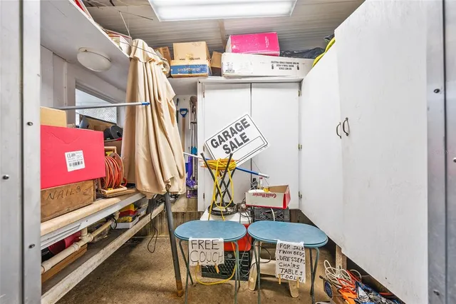 a view of a park with plants and trees