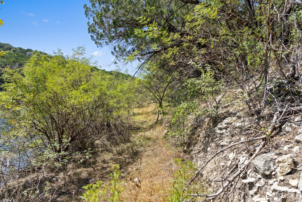 18825 Hidden Ridge Place Jonestown, TX 78645 - Photo 12 of 17 Gallery Image 12