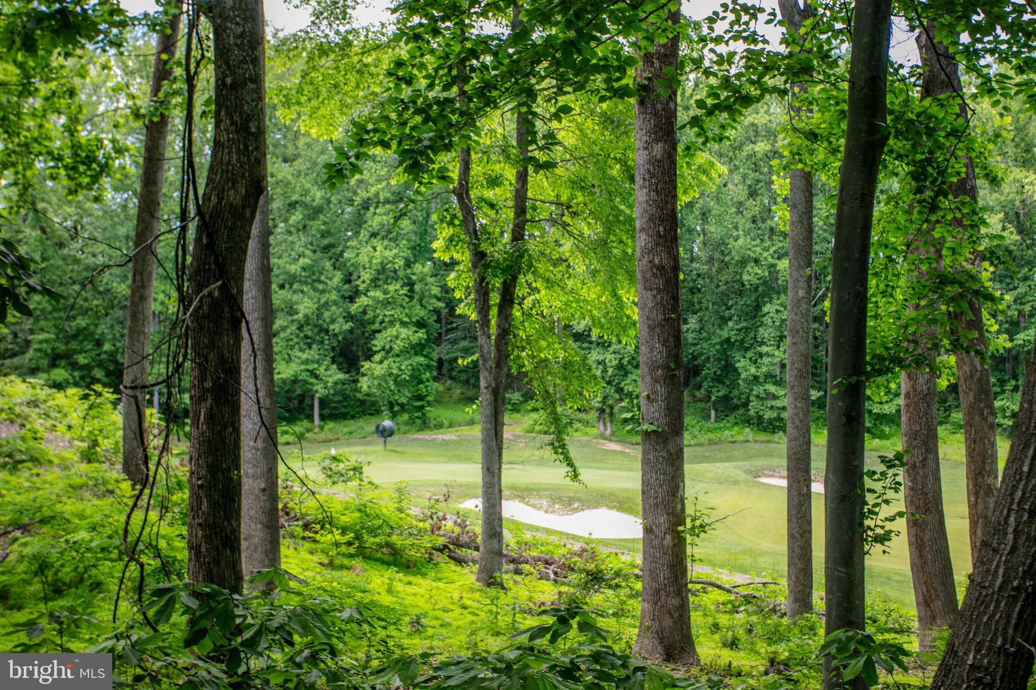 2346 Sweet Pepperbrush Loop Dumfries, VA 22026 - Photo 70 of 84