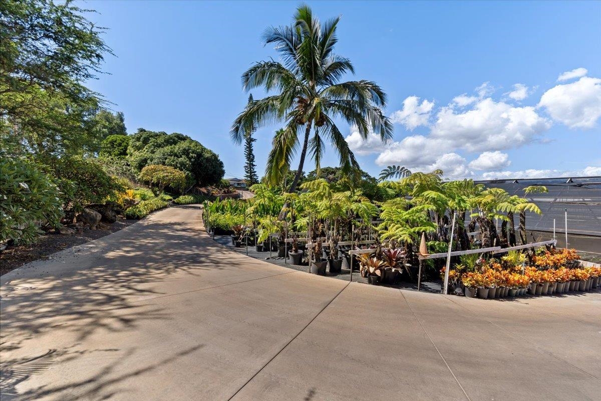 248 Piliwale Road Kula, HI 96790 - Photo 9 of 22 Gallery Image 9