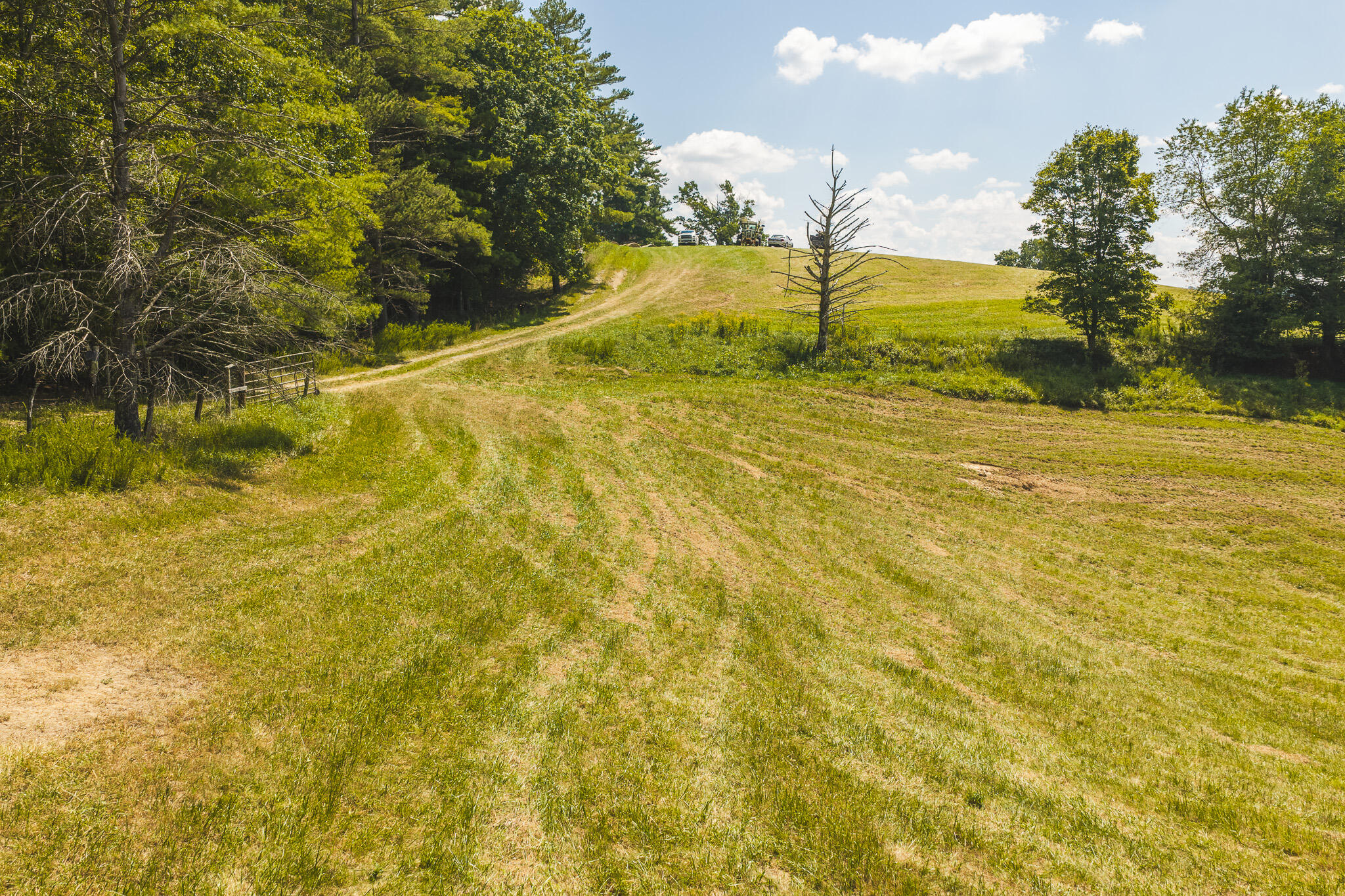 5902 Chestnut Ridge Road Riner, VA 24149 - Photo 30 of 50 DJI_20260903135152_0981_D
