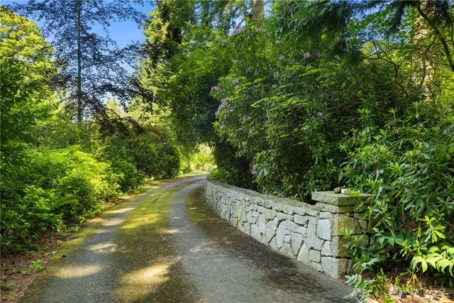 a view of a yard with plants and a tree