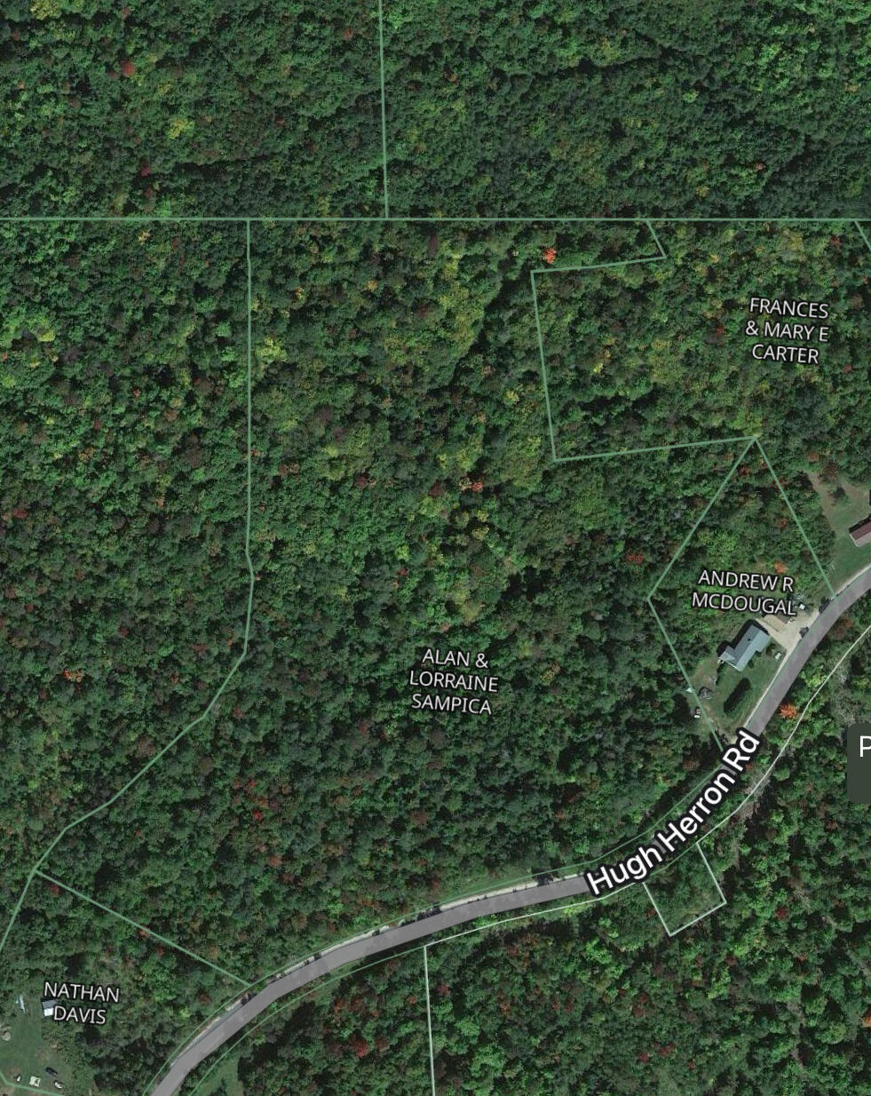 0 Hugh Herron Road Saranac, NY 12981 - Photo 3 of 8 IMG_4124 2