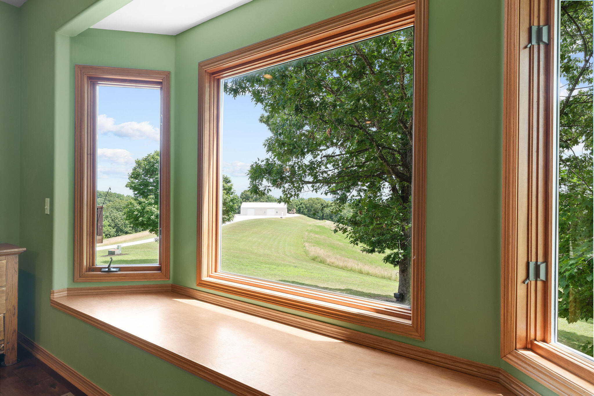 1155 Highway 160 Reeds Spring, MO 65737 - Photo 17 of 74 DSC04775