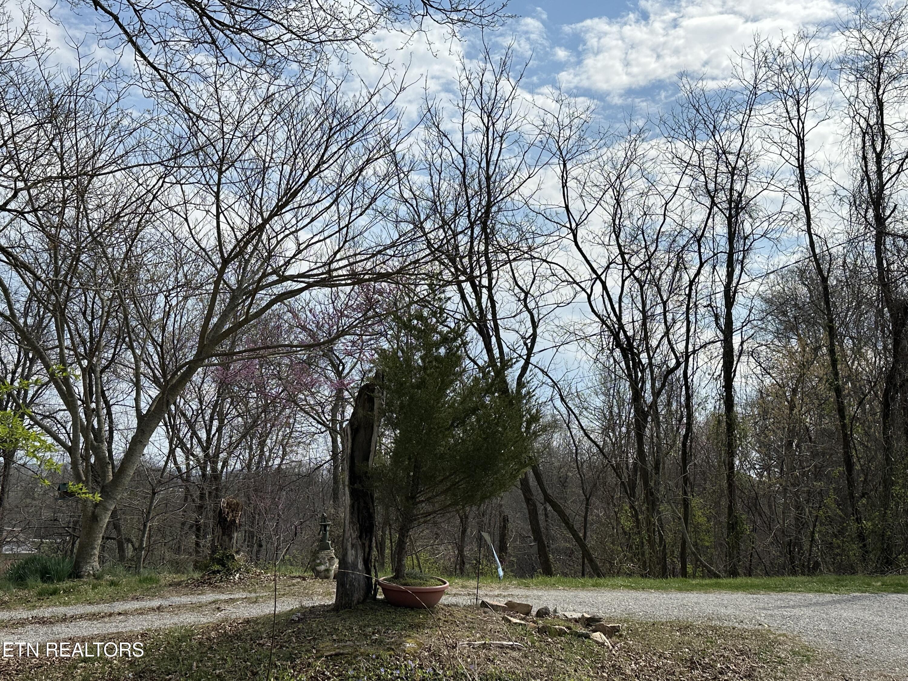 889 Mt Zion Road Jacksboro, TN 37757 - Photo 4 of 20 IMG_3070