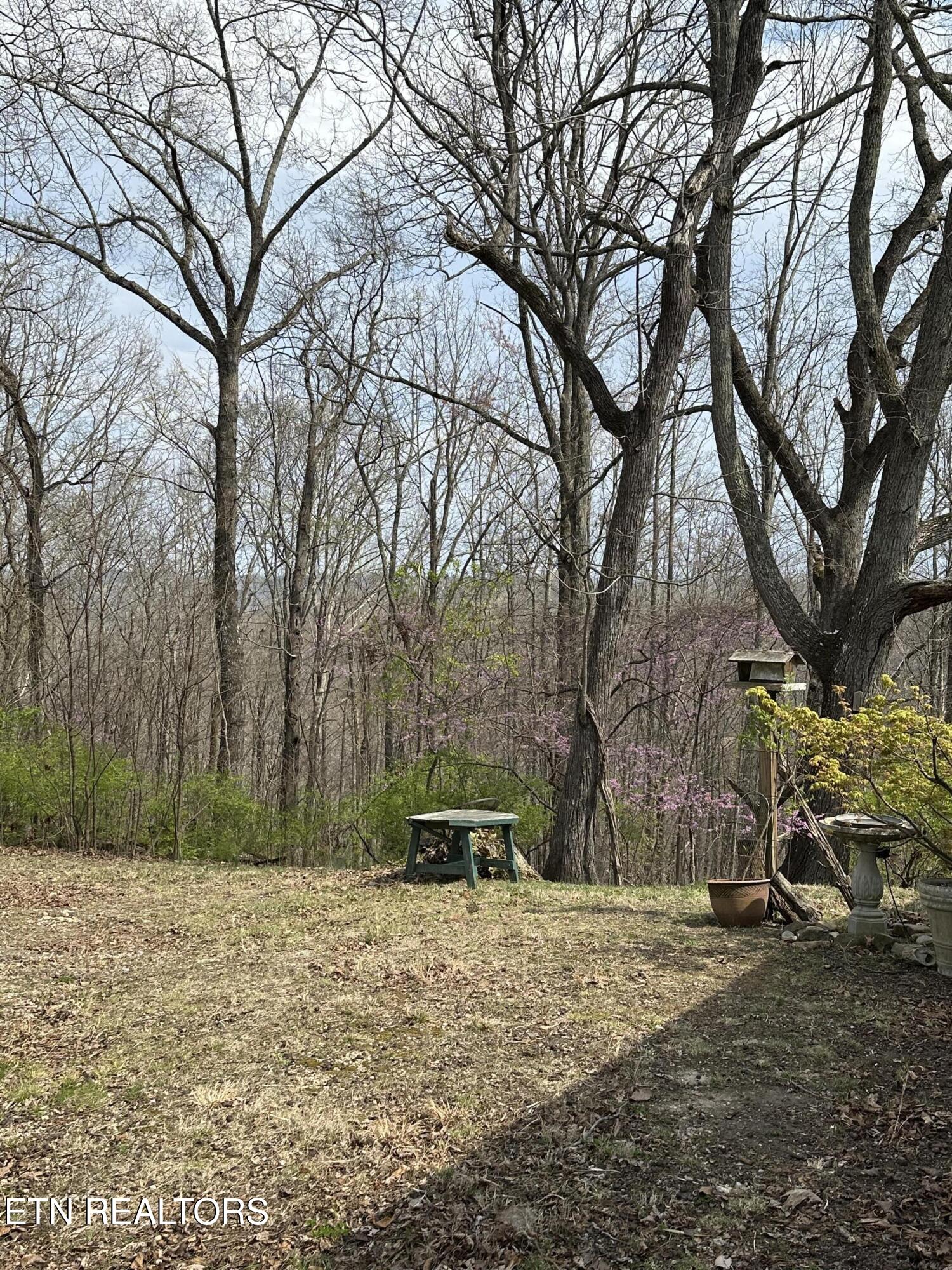 889 Mt Zion Road Jacksboro, TN 37757 - Photo 5 of 20 IMG_3072