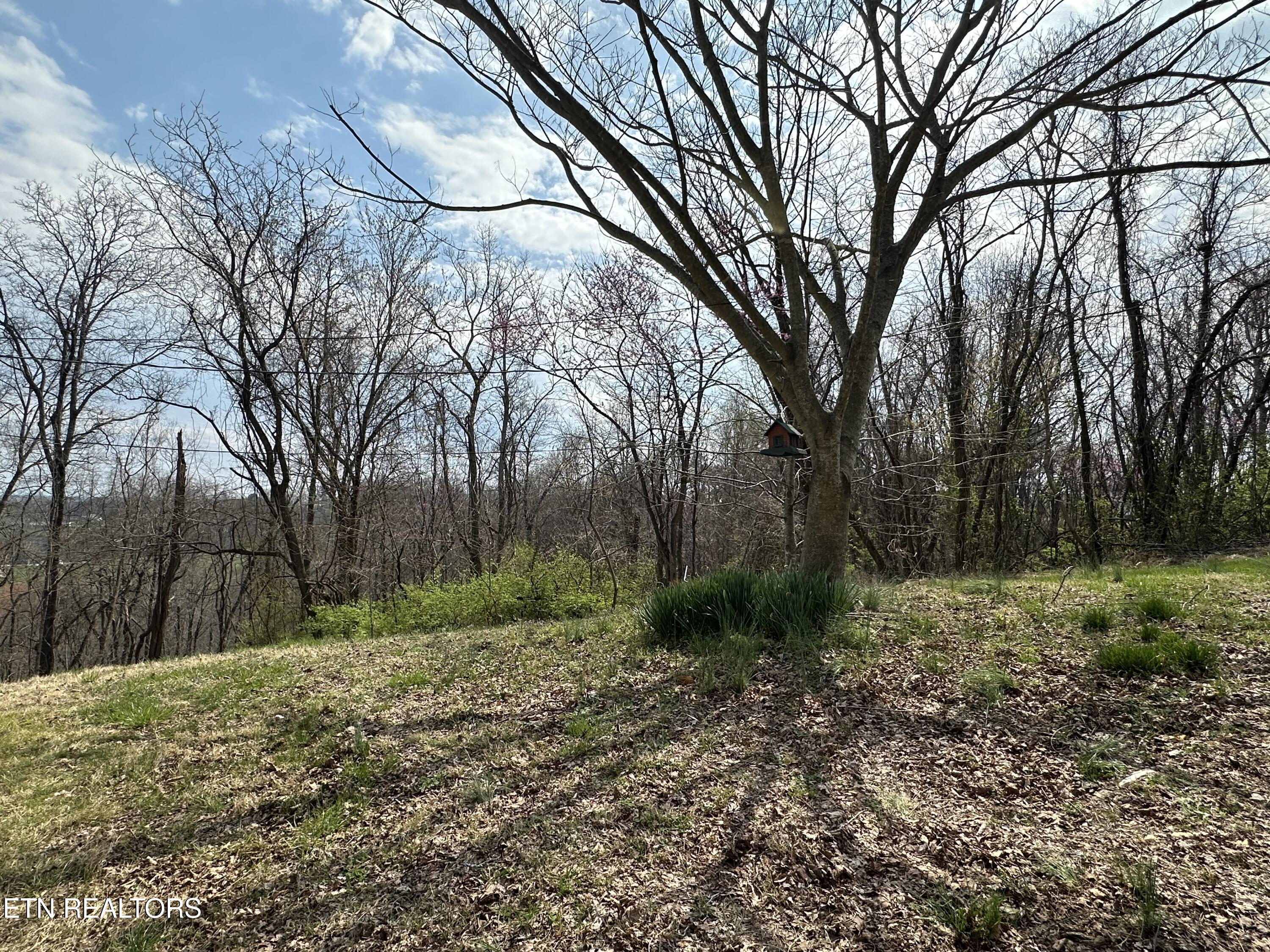 889 Mt Zion Road Jacksboro, TN 37757 - Photo 6 of 20 IMG_3073