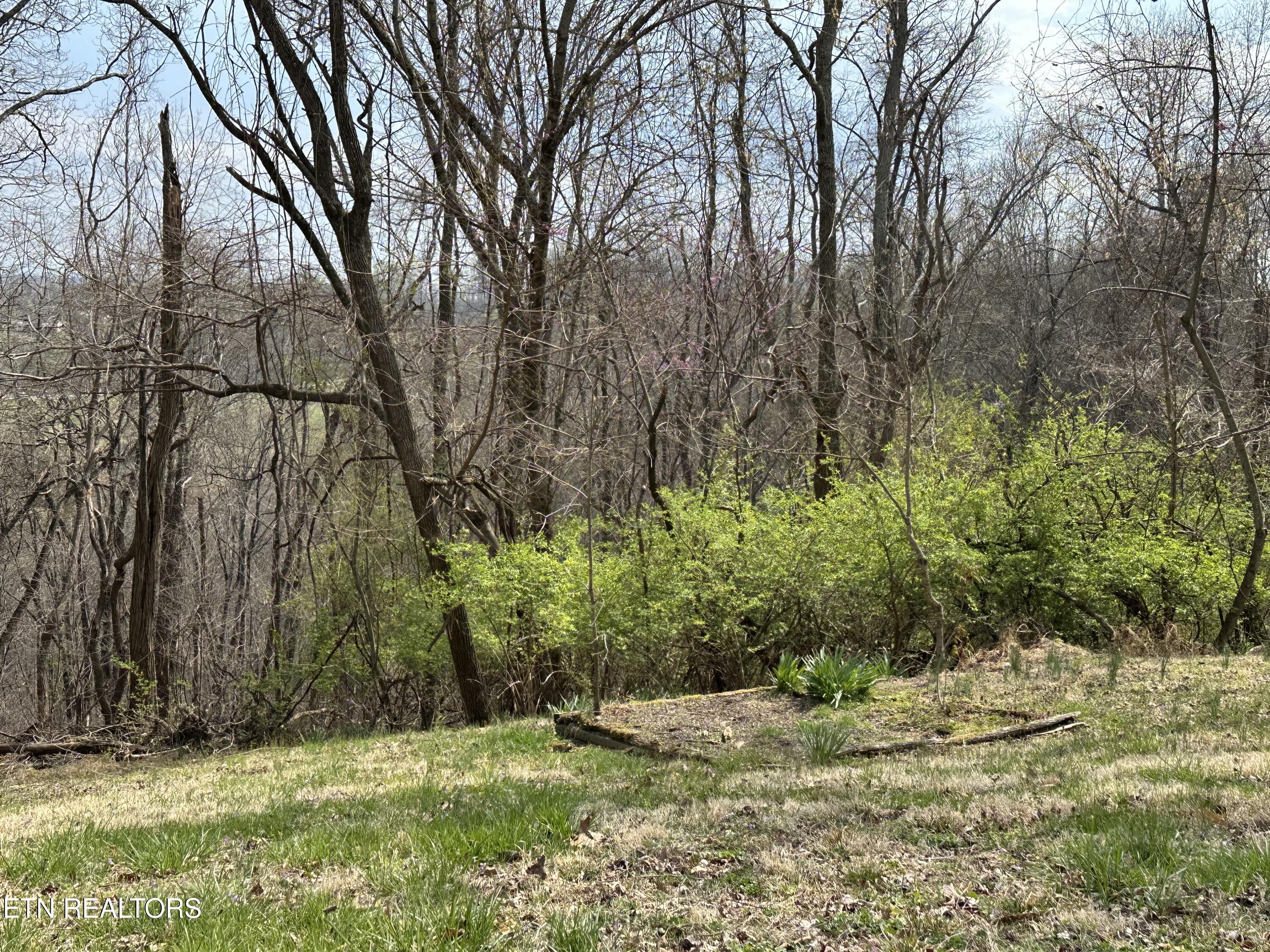 889 Mt Zion Road Jacksboro, TN 37757 - Photo 7 of 20 IMG_3074