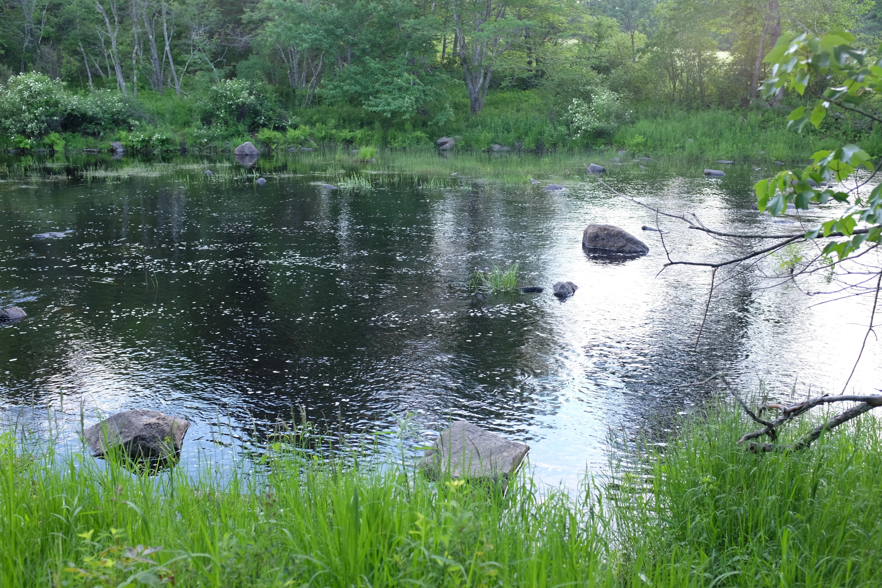 26 New England Road Searsmont, ME 04973 - Photo 11 of 44 DSCF0827