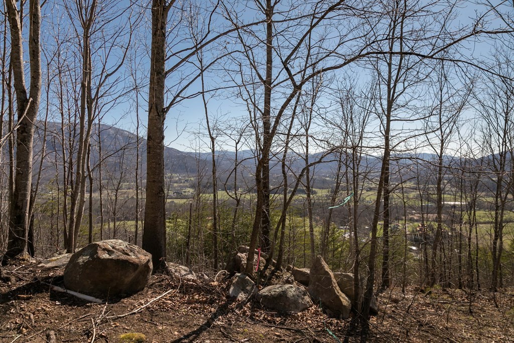 2 Which A Way Sevierville, TN 37862 - Photo 5 of 22
