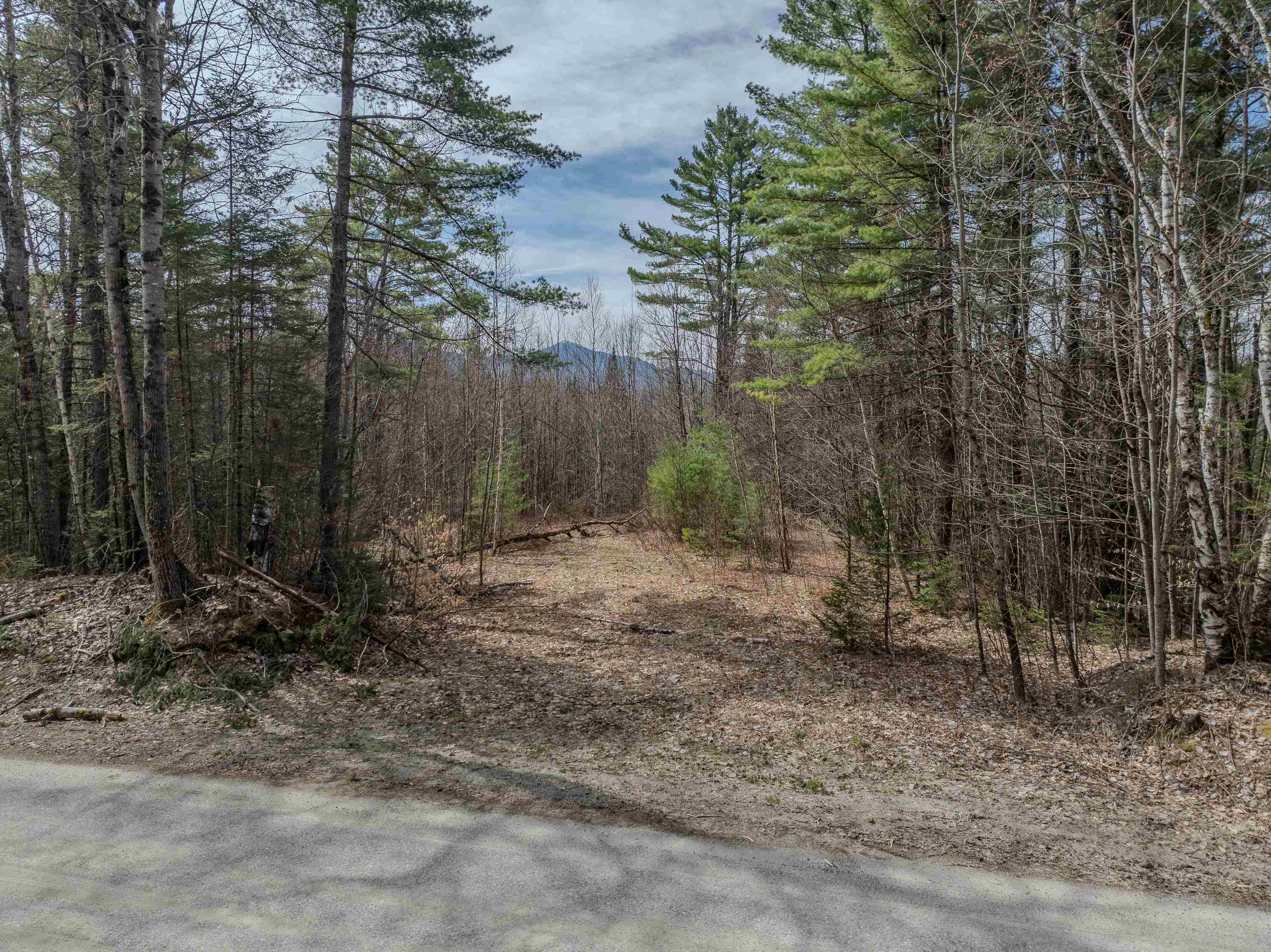 0 Gould Road Whitefield, NH 03598 - Photo 20 of 29 Gallery Image 20