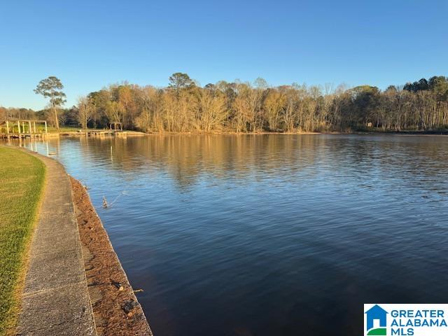 1442 Shannon Way Talladega, AL 35160 - Photo 53 of 73