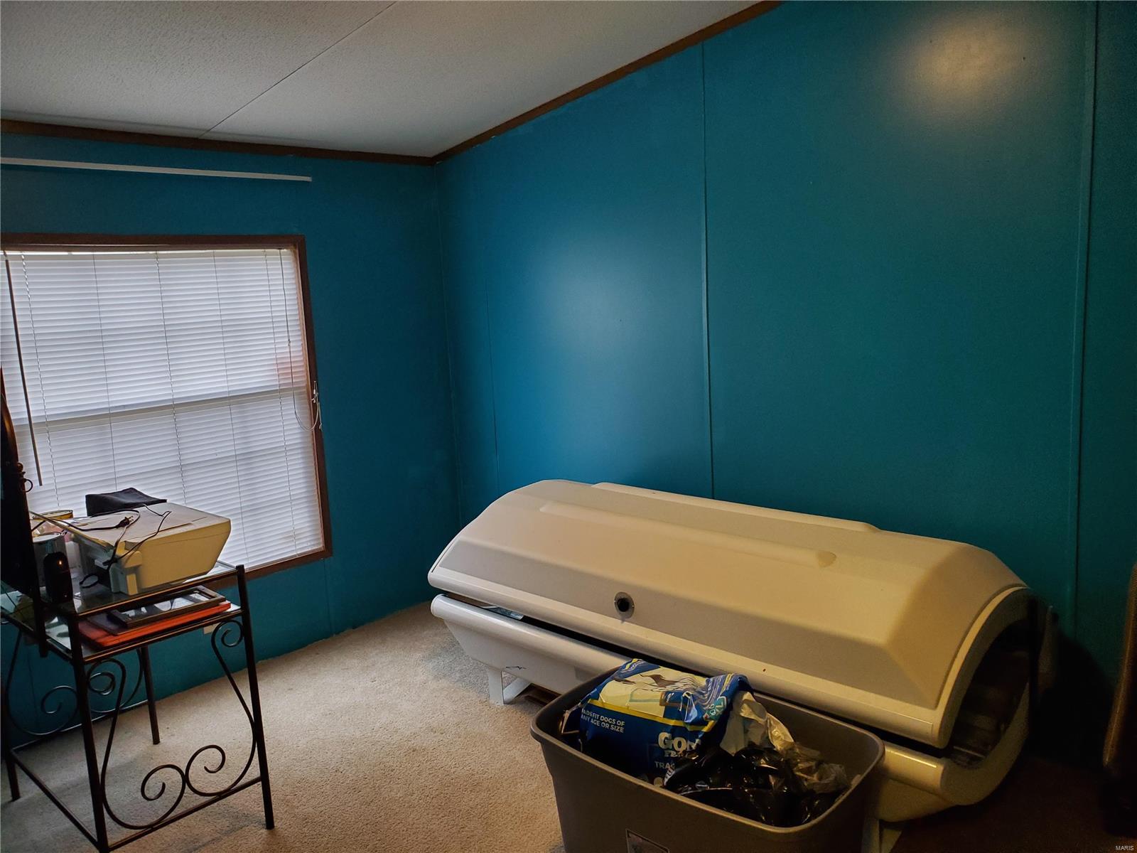 10408 Paradise Road Chester, IL 62233 - Photo 10 of 37