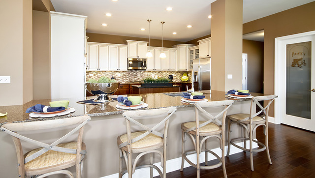 2098 Stapleton Road New Lenox, IL 60451 - Photo 4 of 14 a view of a dining room with furniture