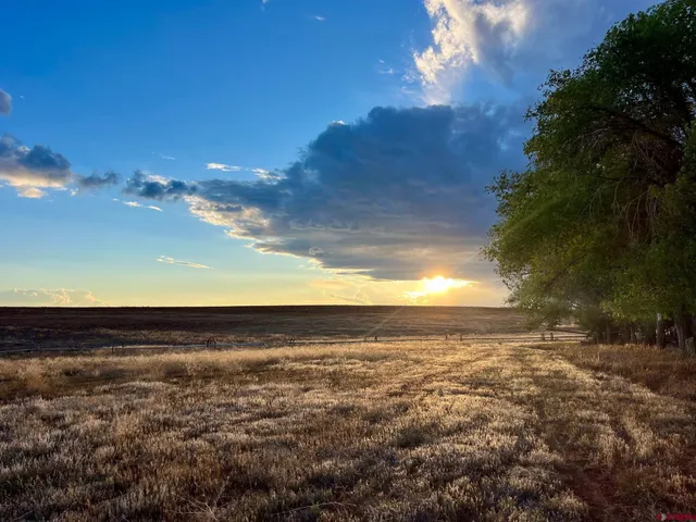 a view of an ocean and beach