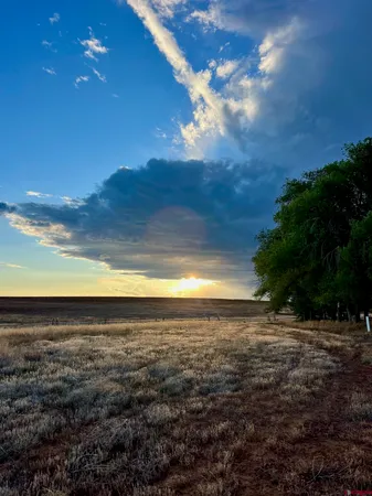 a view of an ocean and beach