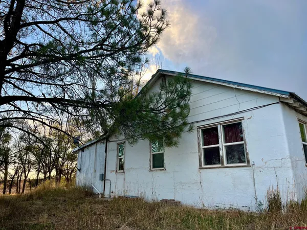 front view of a house with a tree