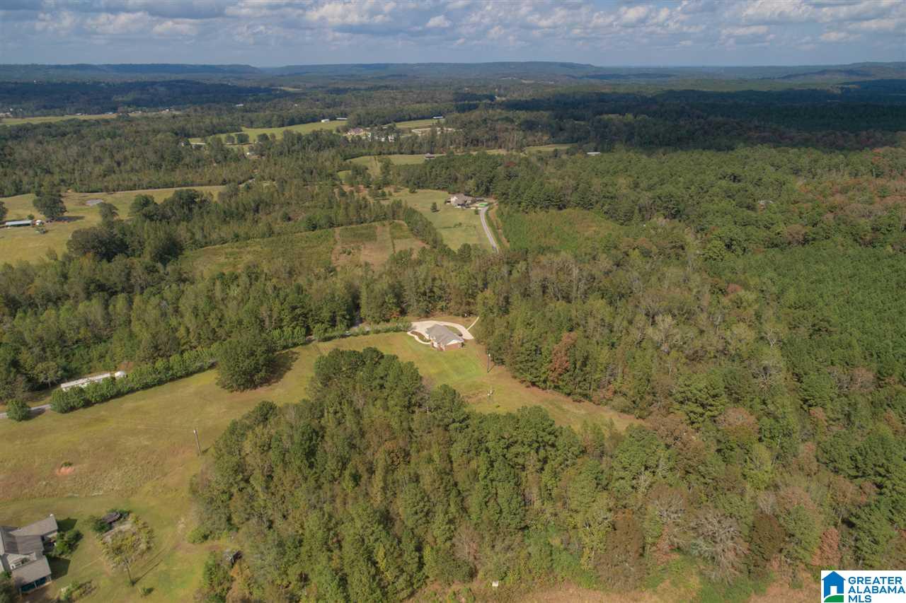 330 Conelia Lane Hayden, AL 35079 - Photo 36 of 38