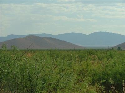 0 East White Tail Road Pearce, AZ 85625 - Photo 8 of 8