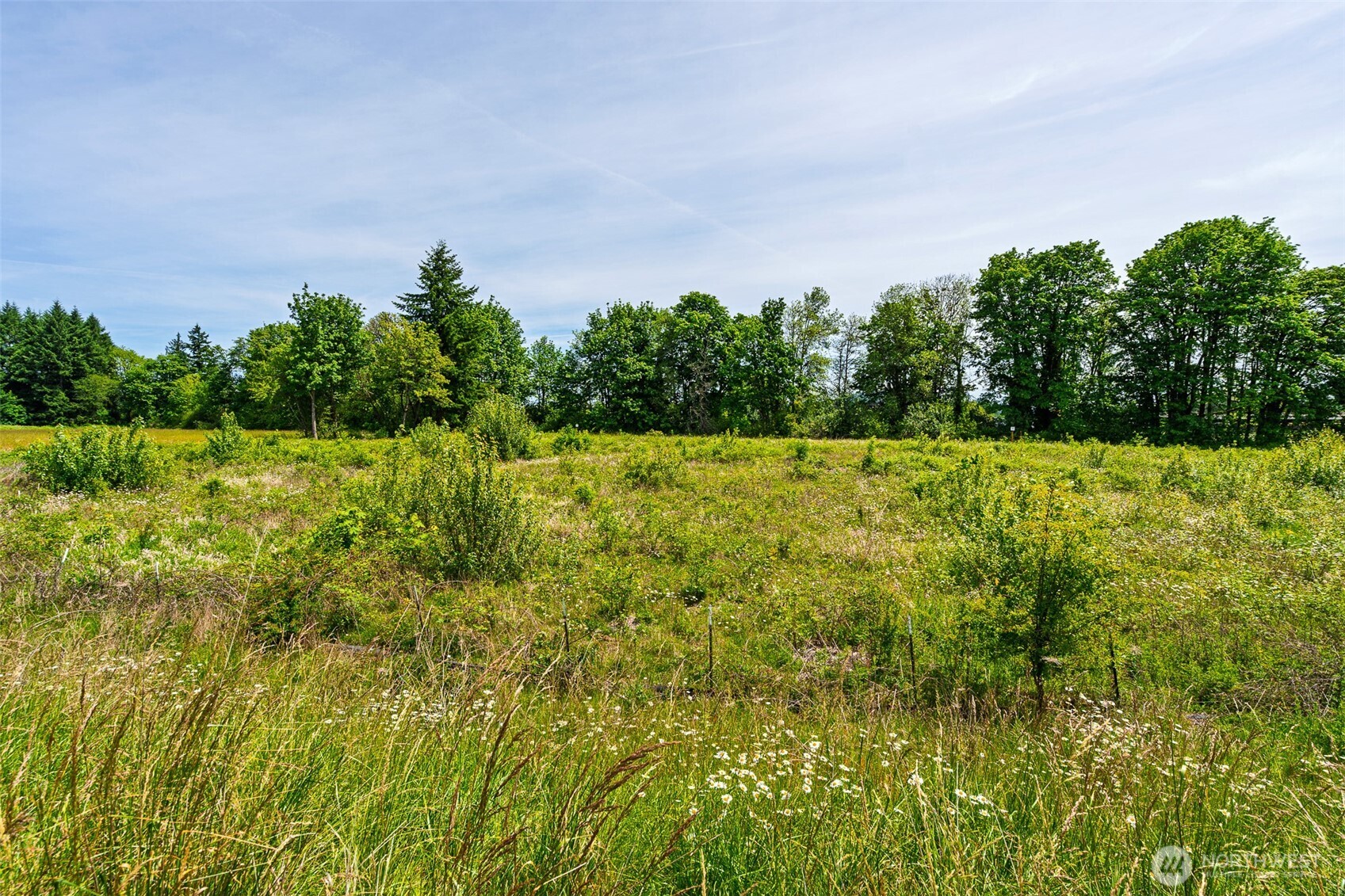 1601 Cooks Hill Road Centralia, WA 98531 - Photo 12 of 26 a backyard of a house with lots of plants and trees