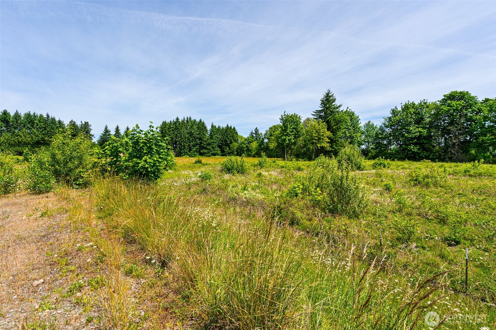 1601 Cooks Hill Road Centralia, WA 98531 - Photo 13 of 26 a view of a lake with a house
