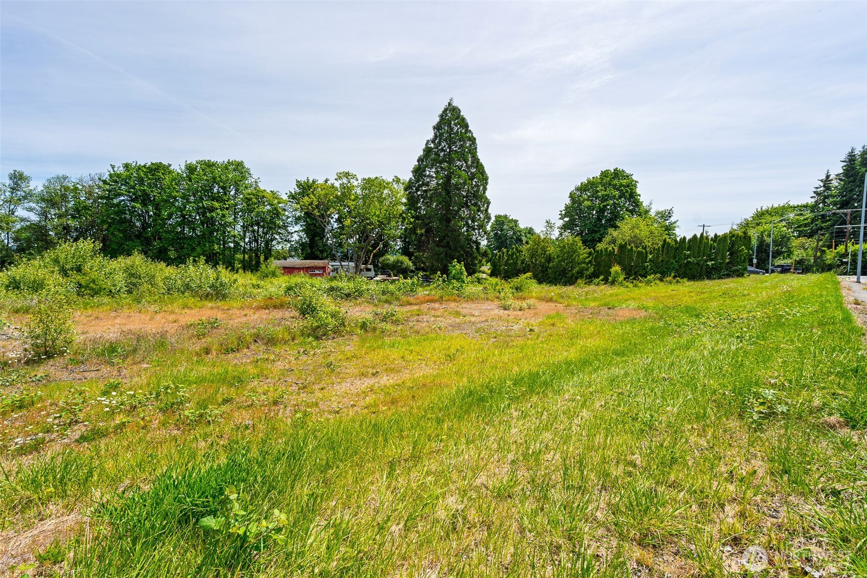 1601 Cooks Hill Road Centralia, WA 98531 - Photo 5 of 26 a view of a green yard with large trees