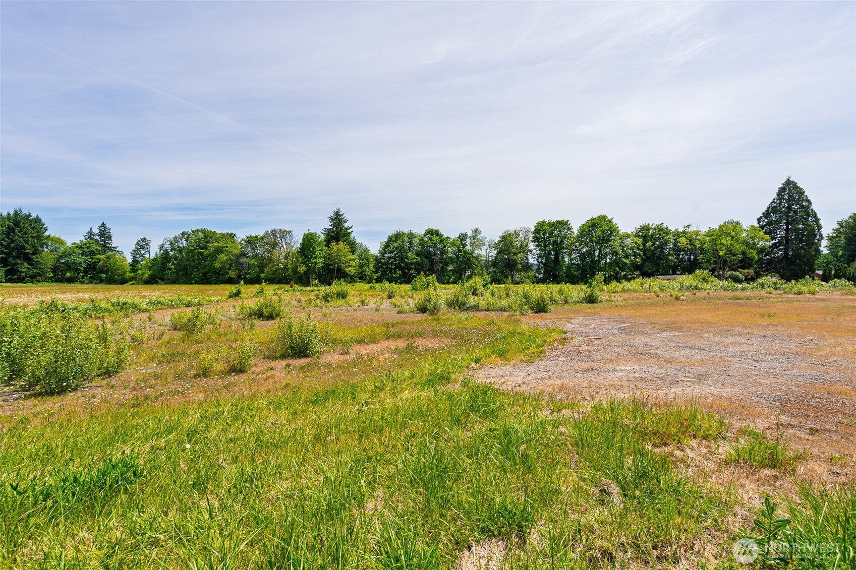 1601 Cooks Hill Road Centralia, WA 98531 - Photo 7 of 26 a view of a lake with houses in the back
