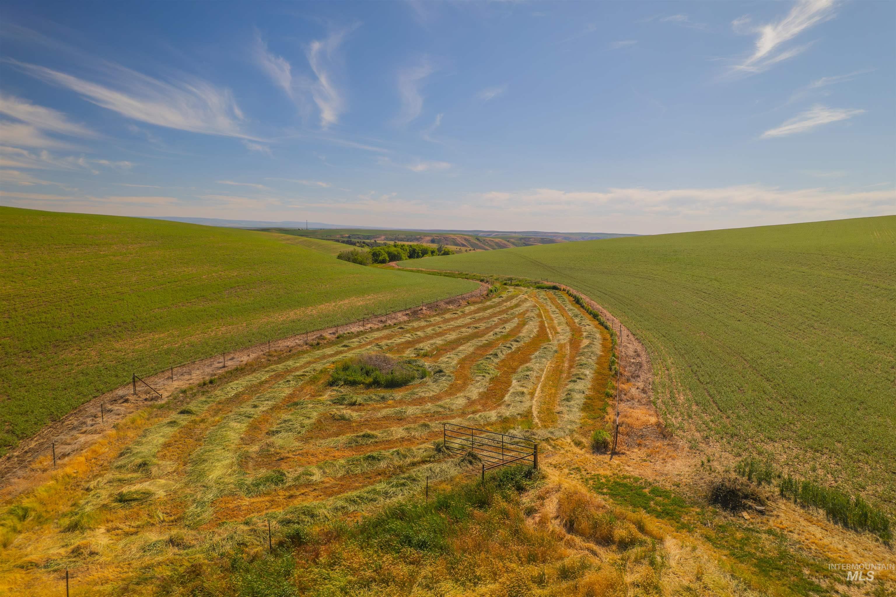 751 Boone Hill Road Pullman, WA 99163 - Photo 4 of 42