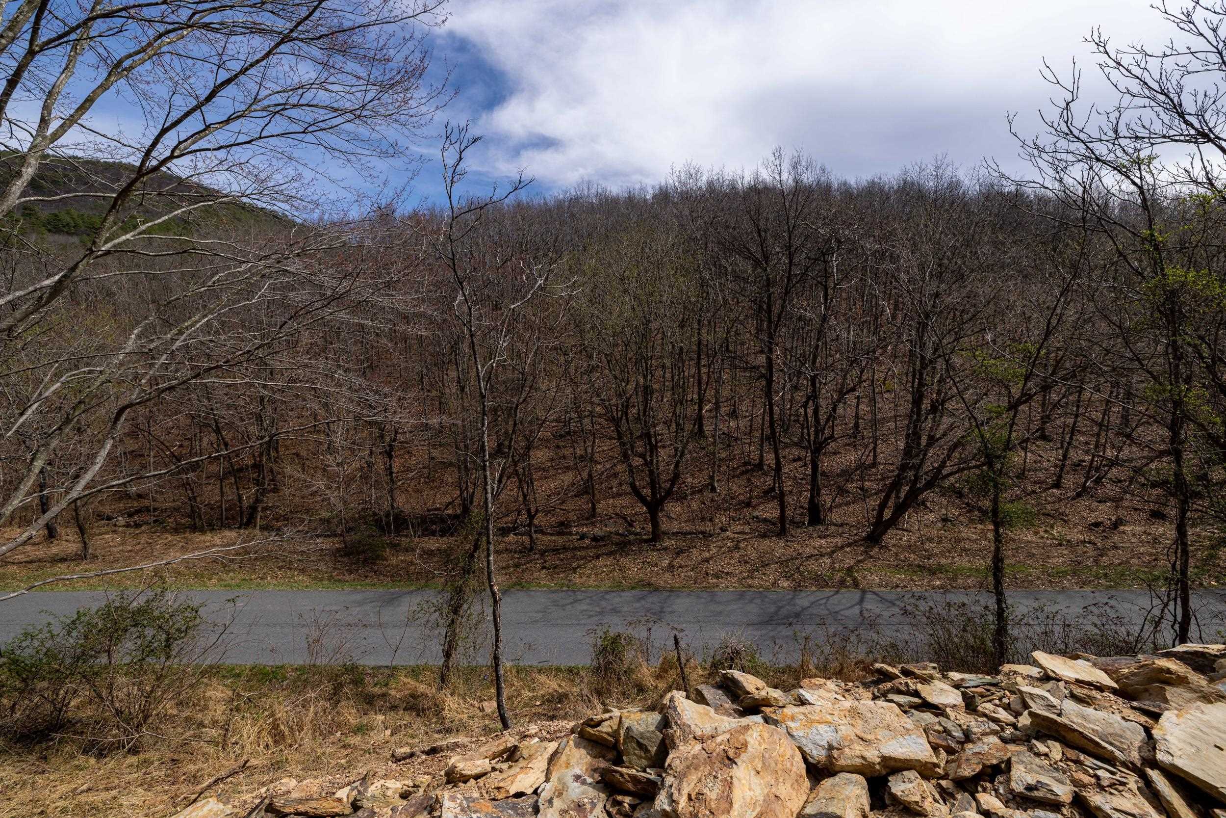 2382 Lucas Hollow Road Stanley, VA 22851 - Photo 22 of 29