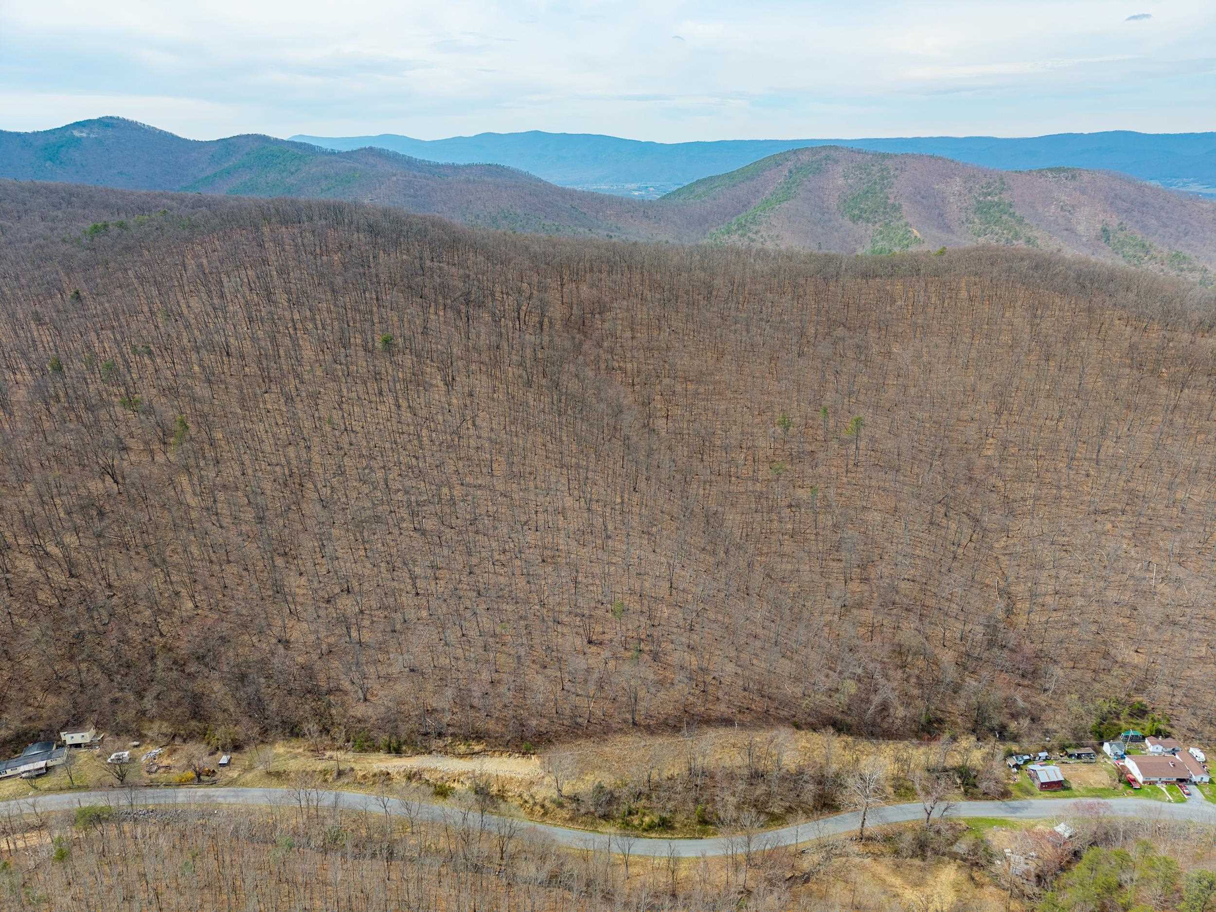2382 Lucas Hollow Road Stanley, VA 22851 - Photo 3 of 29