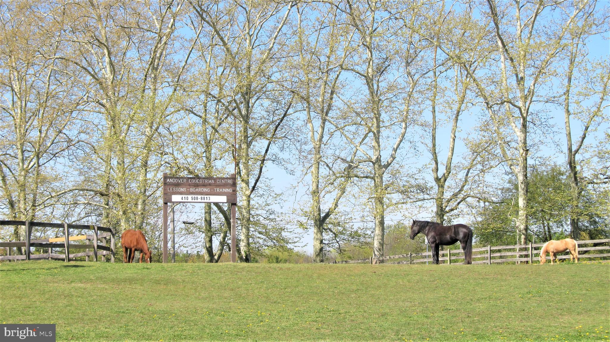 562 Fairmount Road Linthicum, MD 21090 - Photo 27 of 28 Community Equestrian Center