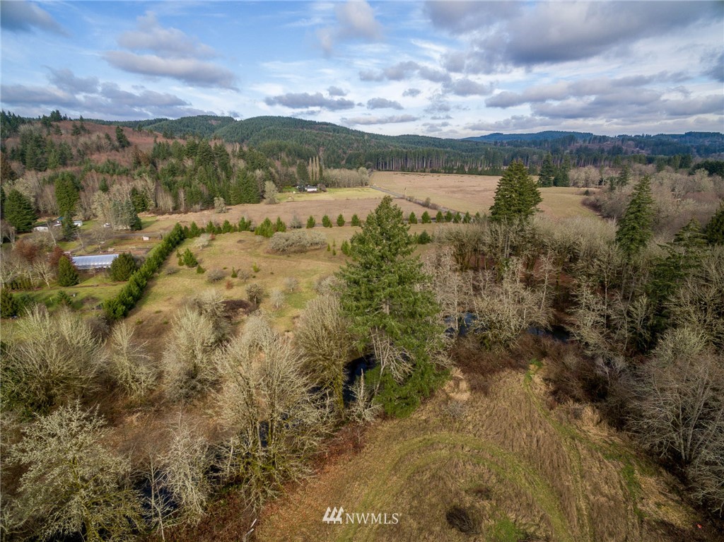 1 Hendrickson Road Vader, WA 98593 - Photo 3 of 6 Gallery Image 3