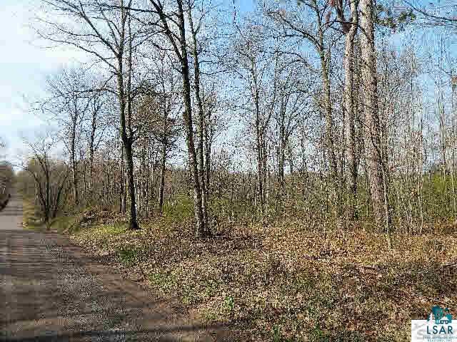 0 Wayside Road Iron River, WI 54847 - Photo 5 of 5 Gallery Image 5